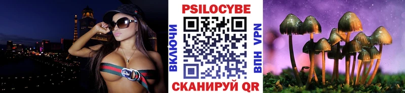 Купить  Вилючинск  Галлюциногенные грибы прущие грибы 
